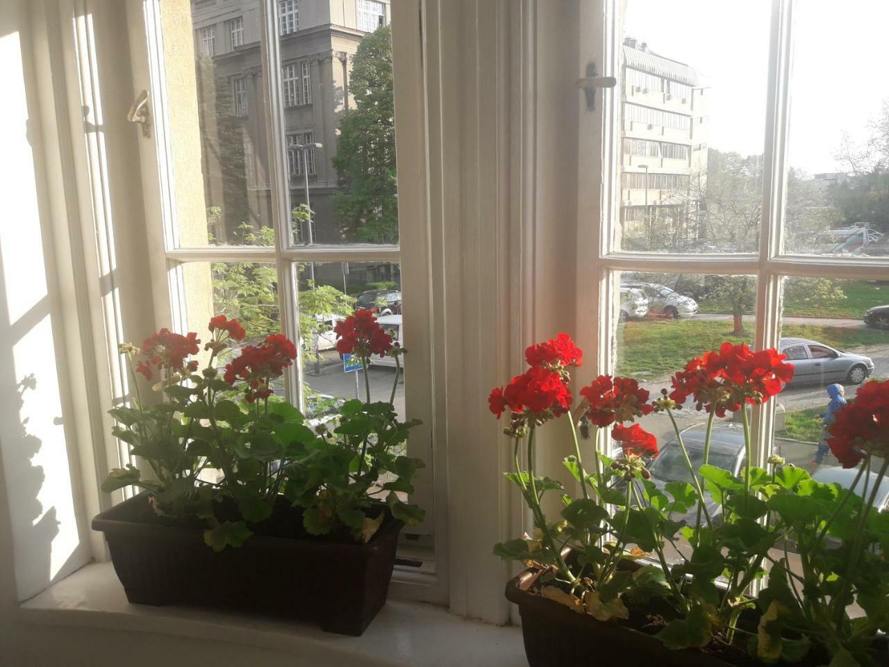 Apartment Lea Lux Belgrade Extérieur photo